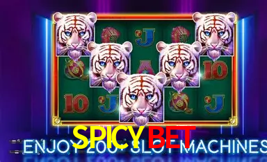 Exclusive Offers SPICYBET
